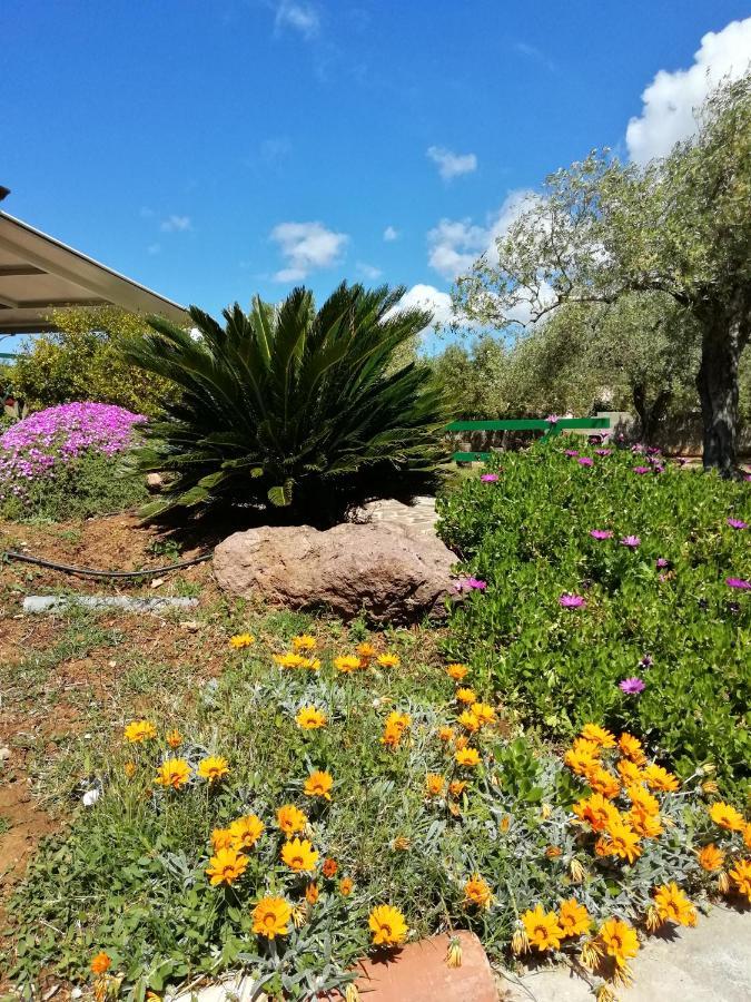 Da Patrizia Bed and Breakfast Alghero Buitenkant foto