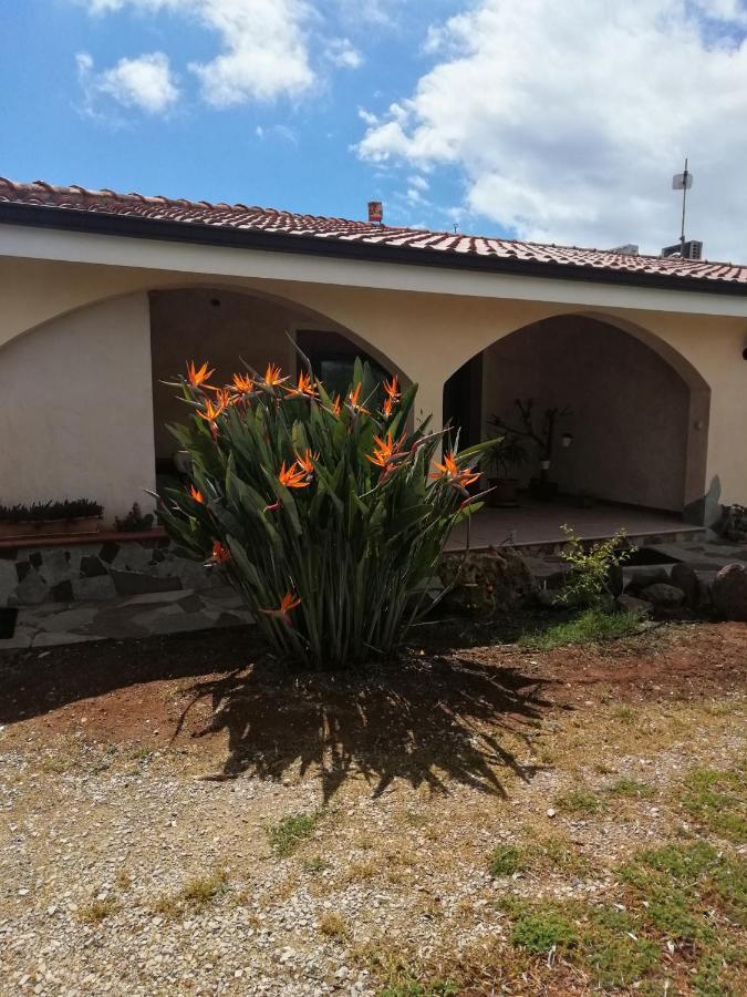 Da Patrizia Bed and Breakfast Alghero Buitenkant foto