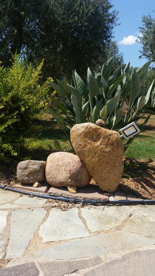 Da Patrizia Bed and Breakfast Alghero Buitenkant foto